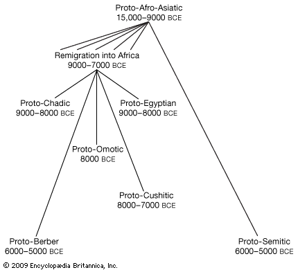 migration of Afro-Asiatic languages