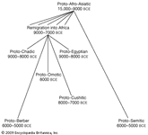 migration of Afro-Asiatic languages