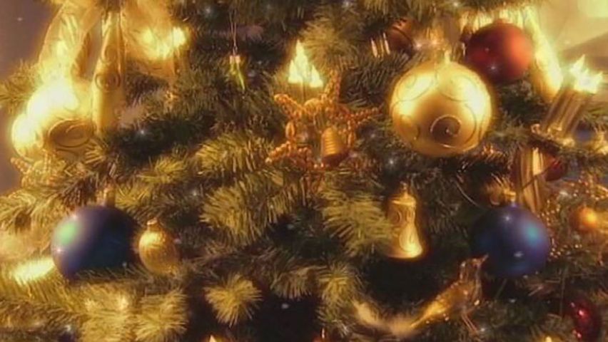 History of Christmas trees