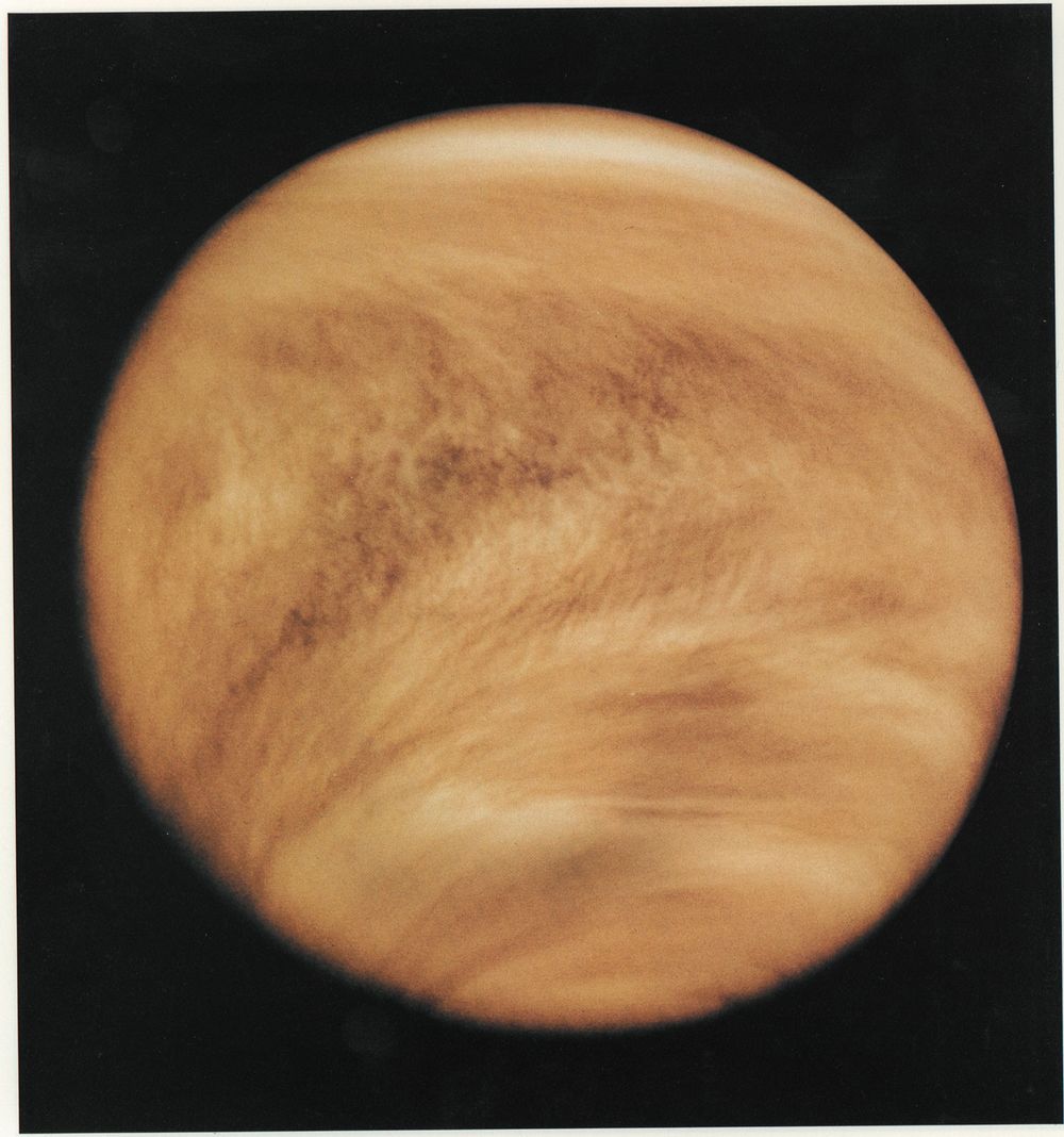 Ultraviolet image of Venus' clouds as seen by the Pioneer Venus orbiter; February 26, 1979.