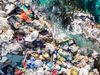 The impact of plastic waste on marine life