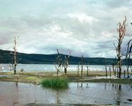 Lake Nakuru, near Nakuru, Kenya.