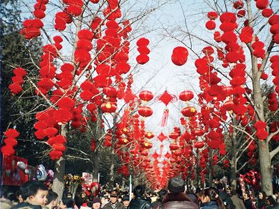 Lunar New Year