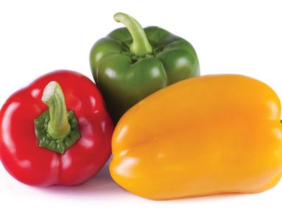 bell pepper