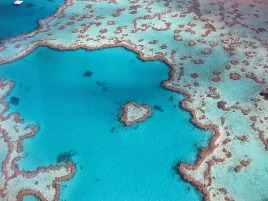 Great Barrier Reef, Queensland