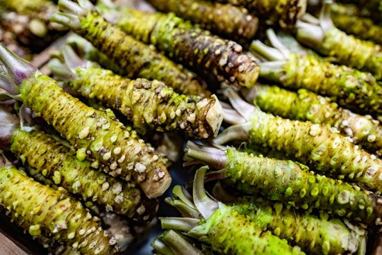 wasabi rhizomes