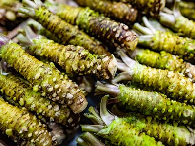 wasabi rhizomes