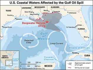 Deepwater Horizon oil spill of 2010: path of the oil