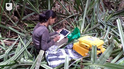 Understand the processes of production and emission of methane gas in wetlands