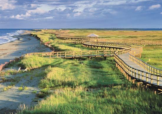 Sand dune beach near Bouctouche, on the east coast of New Brunswick, Can.