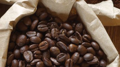 coffee beans, ground coffee, and instant coffee