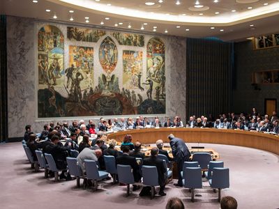 United Nations Security Council