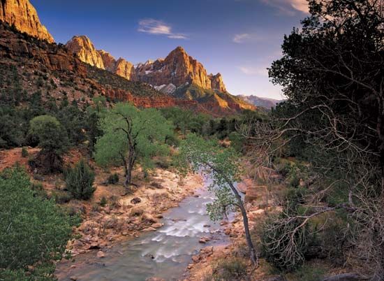 Zion National Park: Virgin River