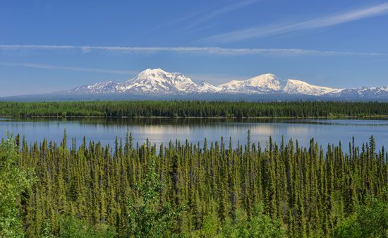 beaver pond near the Wrangell Mountains