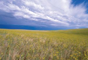 Buffalo Gap National Grassland