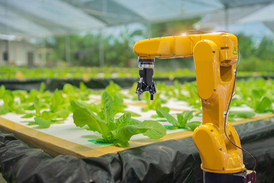 Hydroponic farm