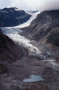 Fox Glacier, South Island, New Zealand