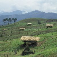 Arunachal Pradesh, India