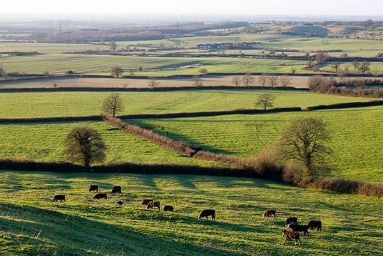 Aylesbury Vale