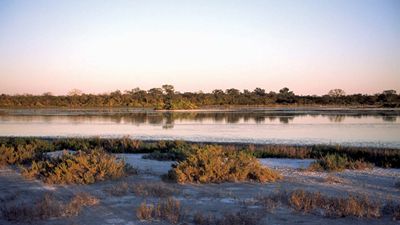 Salt marshes in the Gran Chaco region of Paraguay.