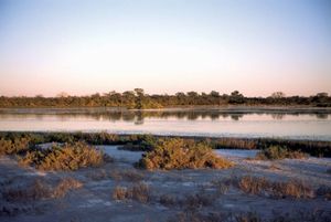 Salt marshes in the Gran Chaco region of Paraguay.