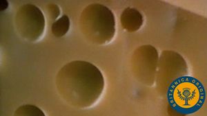 How bacteria “blow” holes in Swiss cheese