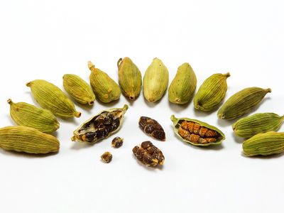 cardamom