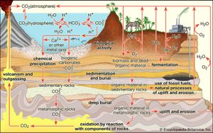 carbon cycle