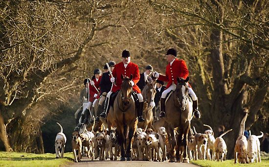 Boxing Day: foxhunting