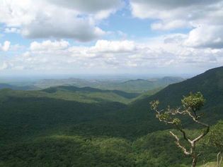 Biligiri Rangan Hills