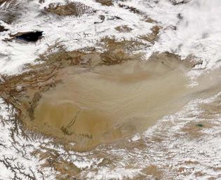 Tarim Basin