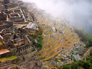 Machu Picchu: stepped terraces and dwellings