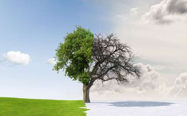 Scenic landscape of apple tree on field with seasons changing from Summer to Winter, solstice