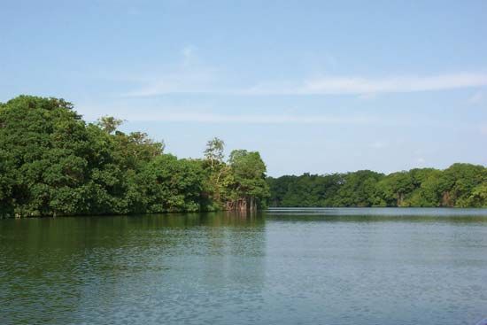 Belize River