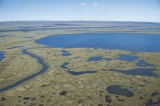 Thawed surface of the permafrost on the tundra in summer, Taymyr Peninsula, Siberia.