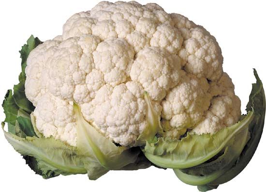 cauliflower