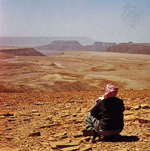 Characteristic desert pavement and topography in Jabal Shammar, Saudi Arabia