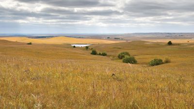 Great Plains