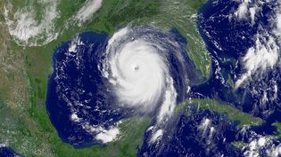 See how cloud formation near a low-pressure system or ongoing tropical storm fuels a hurricane