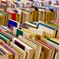 Books. Reading. Publishing. Print. Literature. Literacy. Rows of used books for sale on a table.