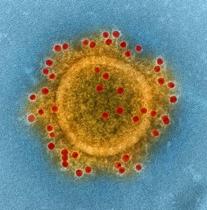 MERS; coronavirus