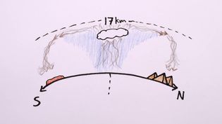 Understand the concept of Hadley cells in explaining tropical rain forests and deserts