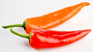 Use Wilbur Scoville's subjective test to determine a pepper's capsaicin content and spiciness