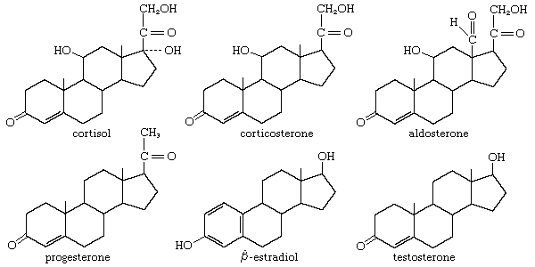 steroid hormones