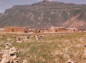 Hadīboh, Yemen