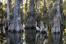 Everglades National Park