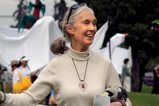 Jane Goodall