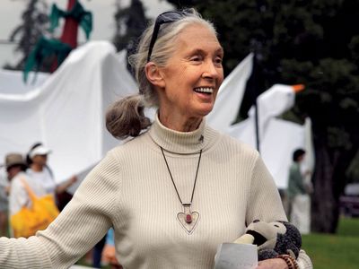 Jane Goodall