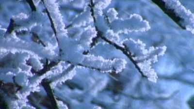 Why does snow crunch underfoot?