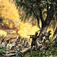 Fallen Timbers, Battle of